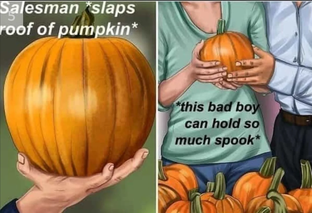 pumpkin meme