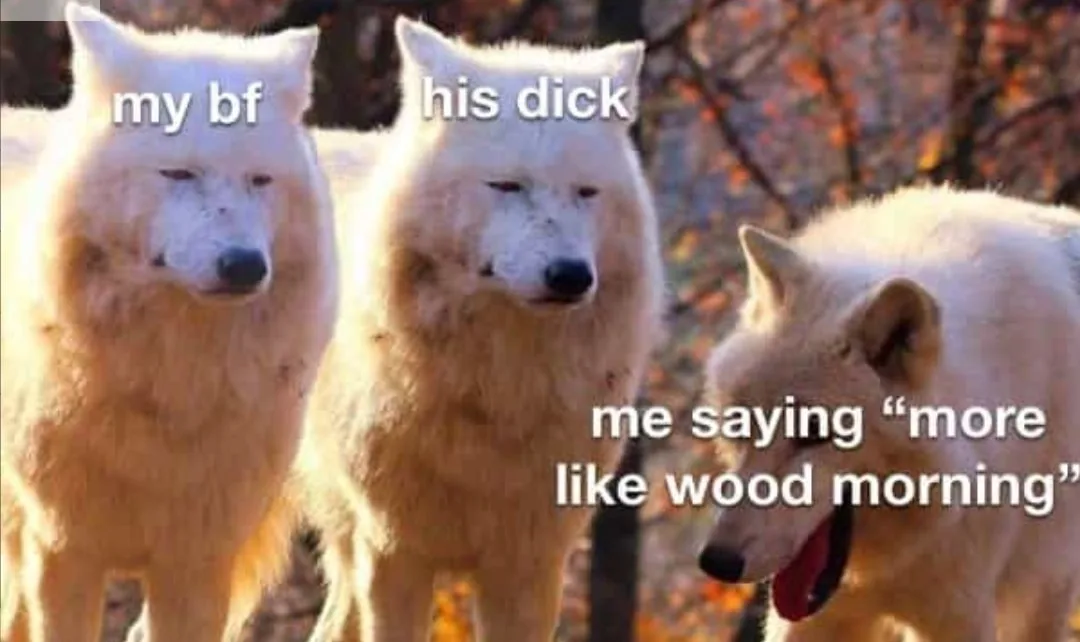 morning wood meme