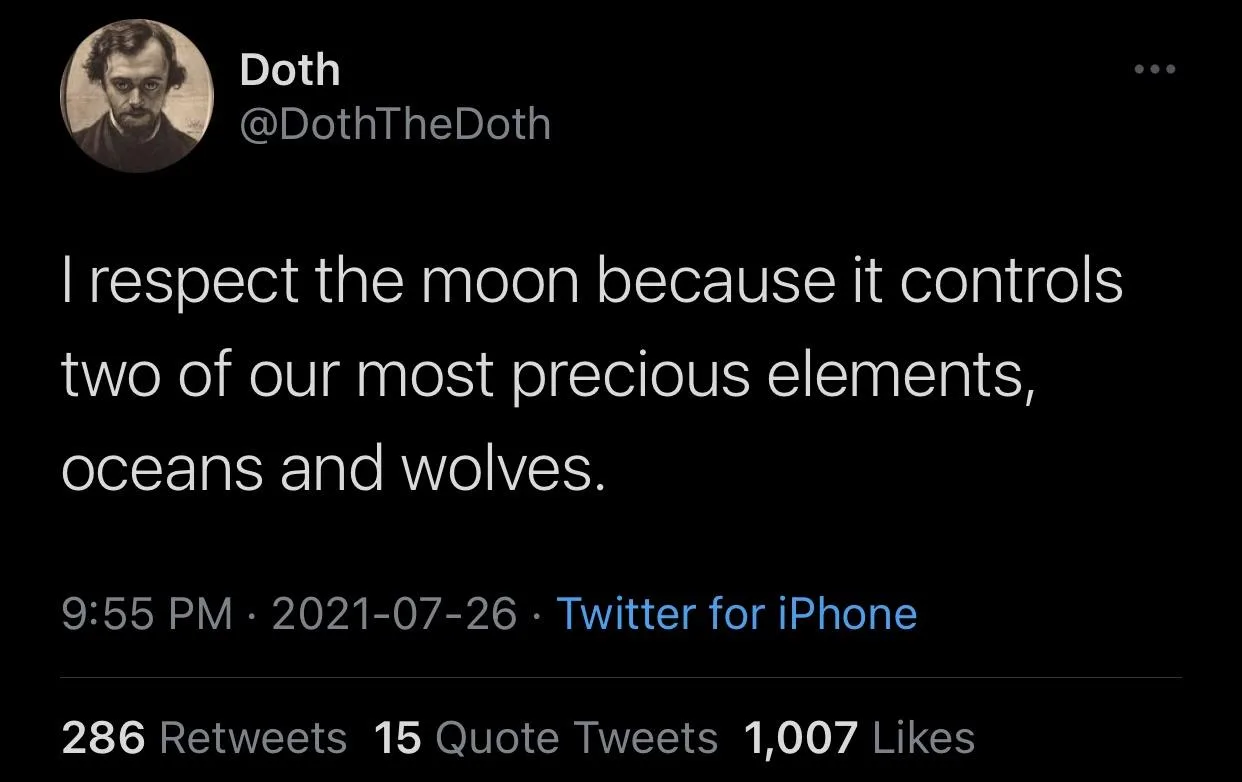 wolf meme