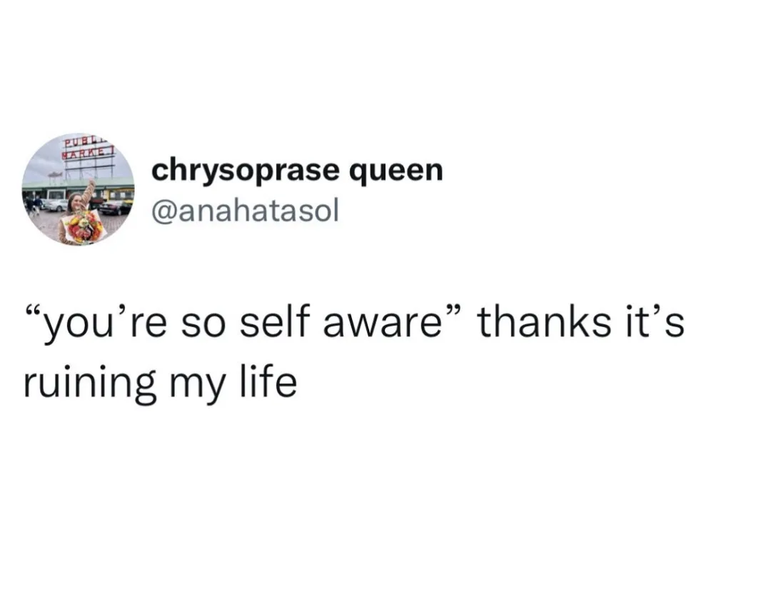 self-awareness meme