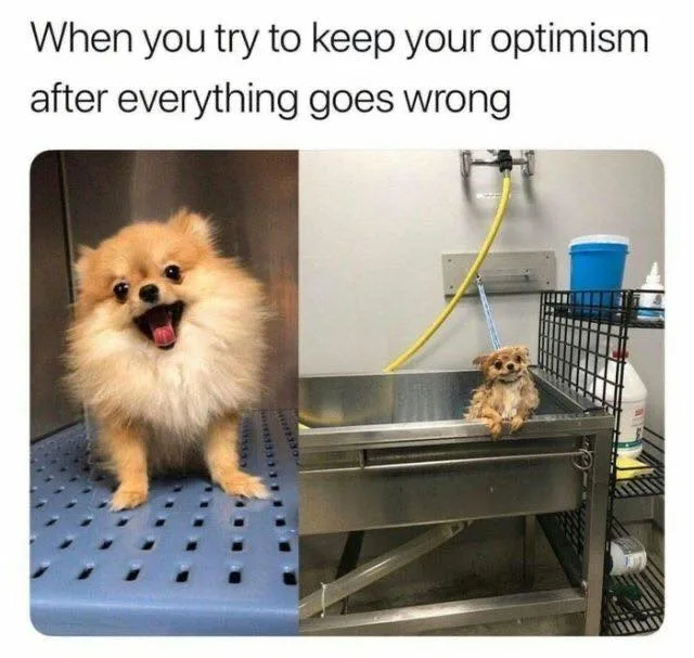 trouble meme