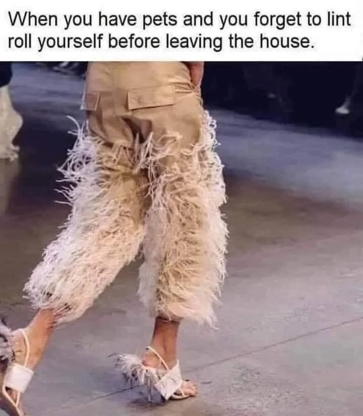 fur meme