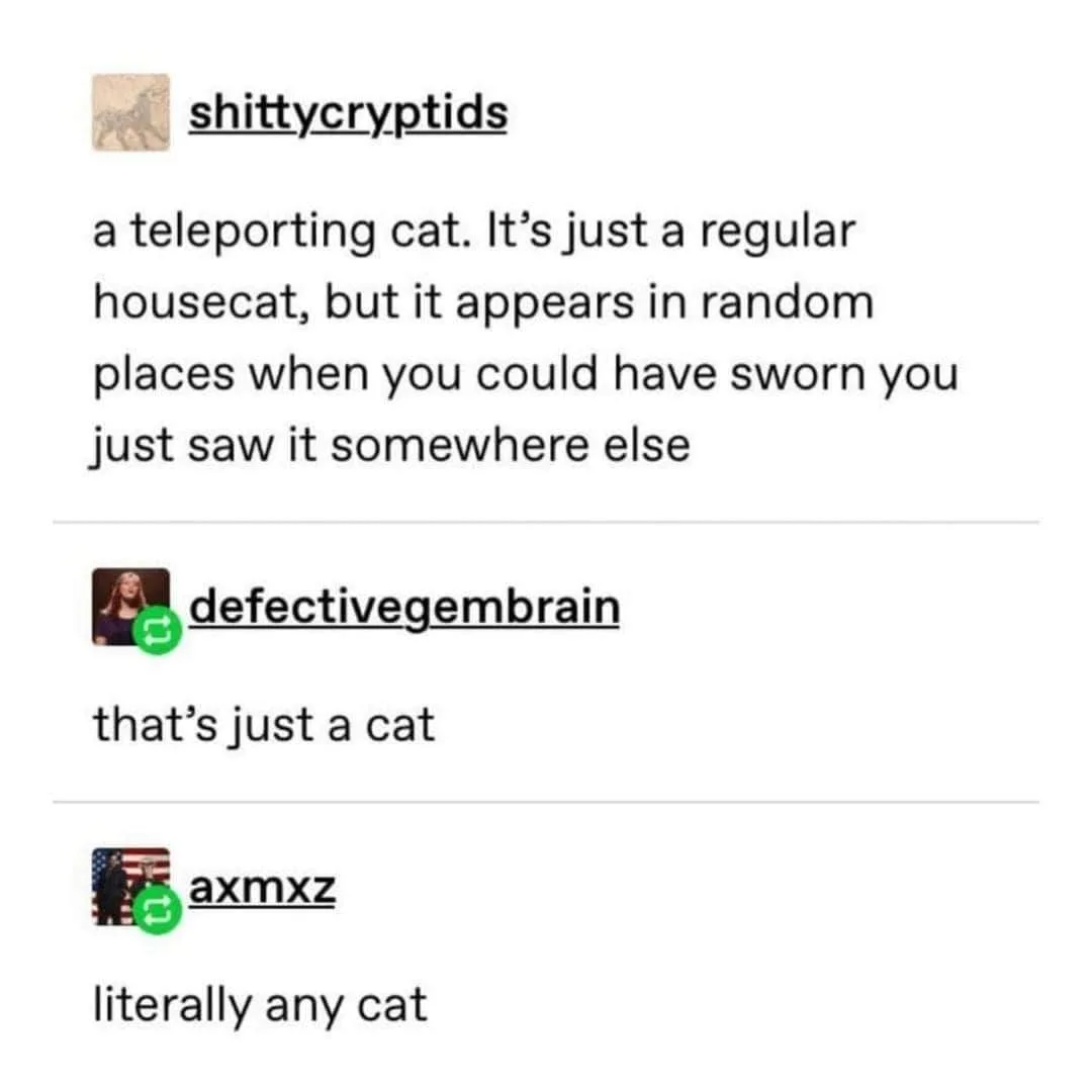 teleportation meme
