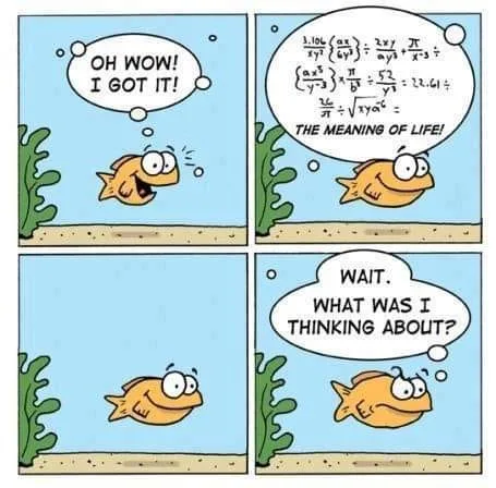 memory meme