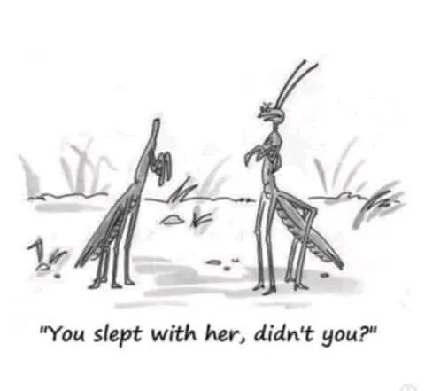 praying mantis meme