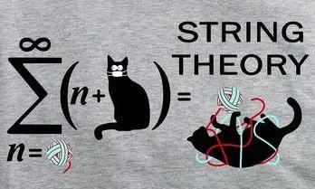 string theory meme