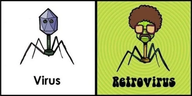 virus meme