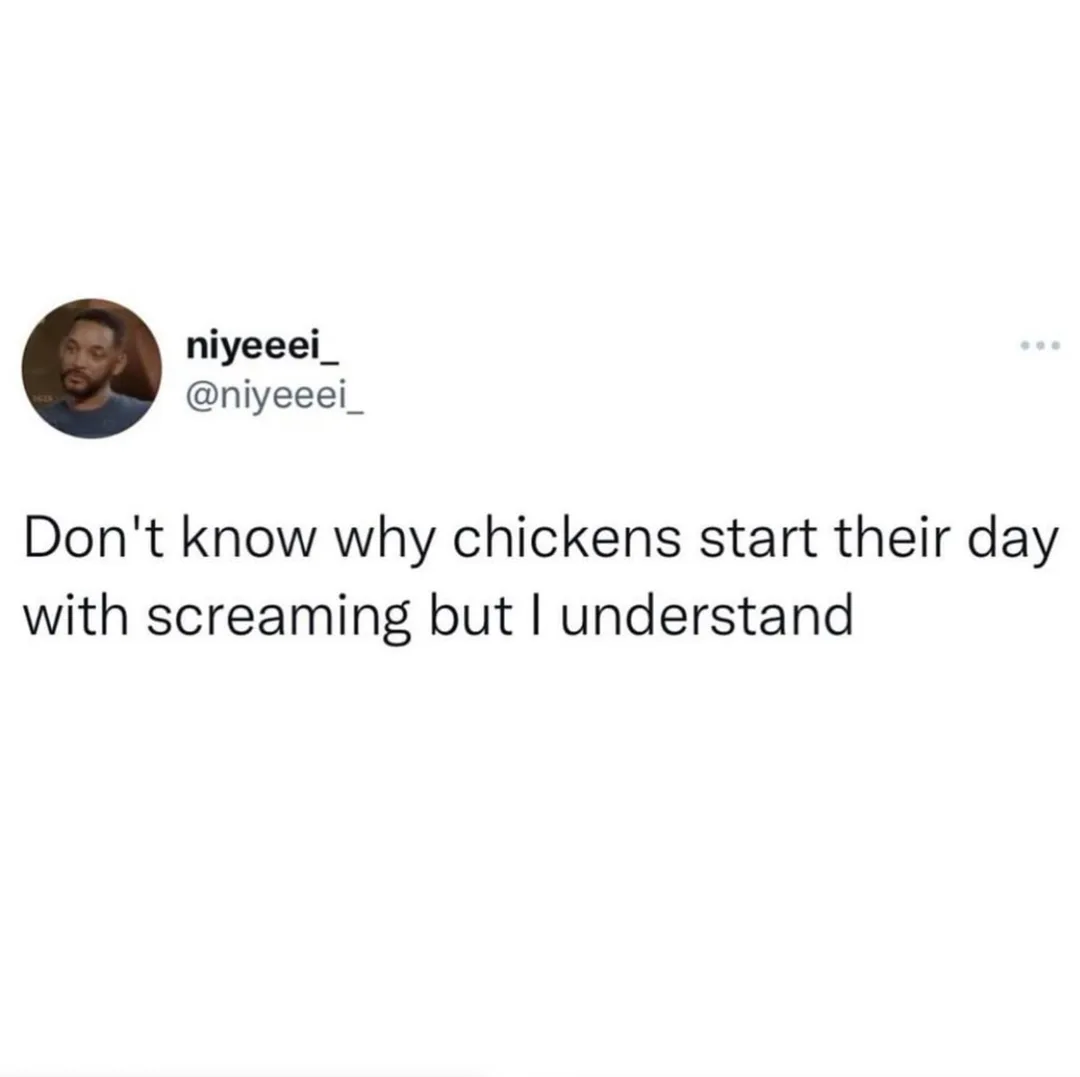 rooster meme