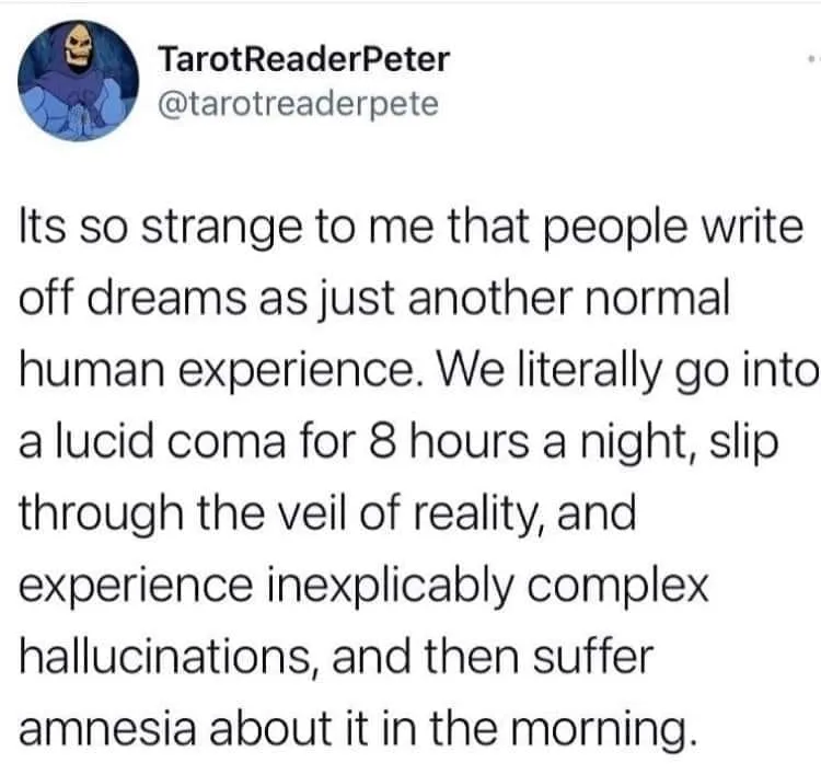dreaming meme