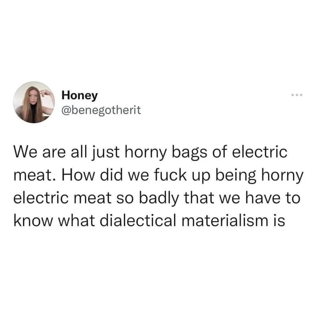human being meme