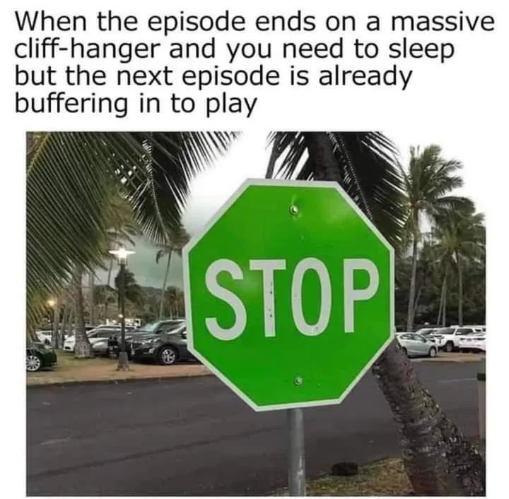 binge watching meme