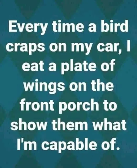bird poop meme