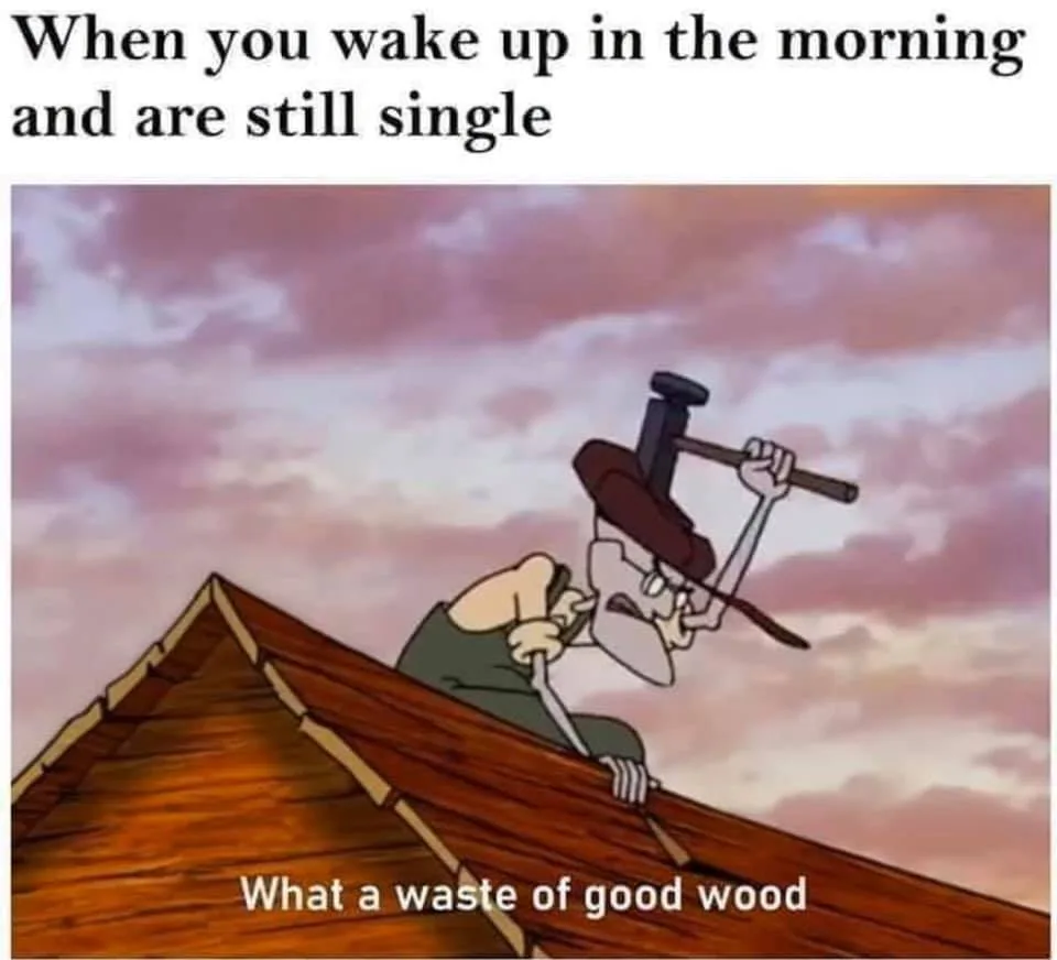 morning wood meme