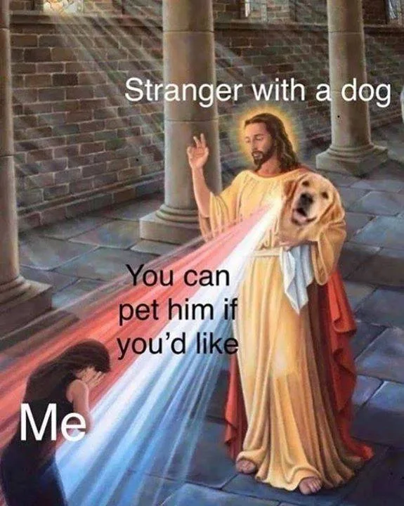 petting meme