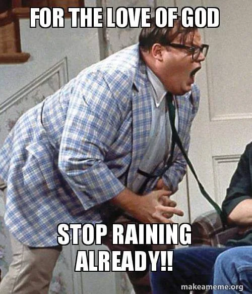 rain meme