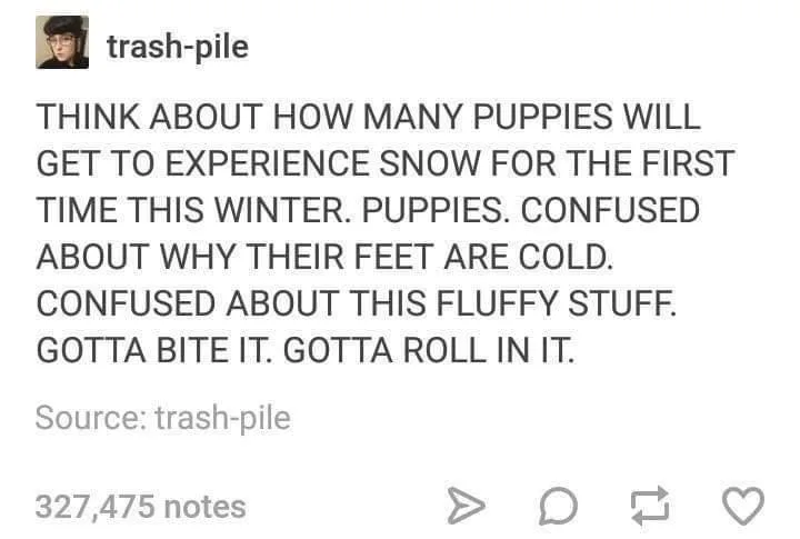 puppy meme