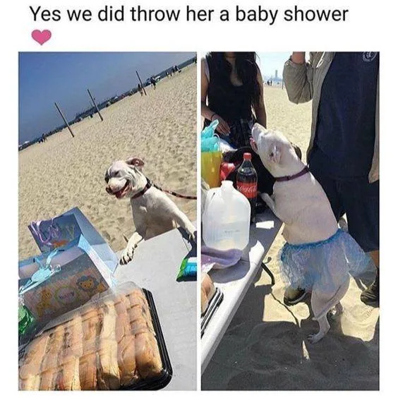 baby shower meme