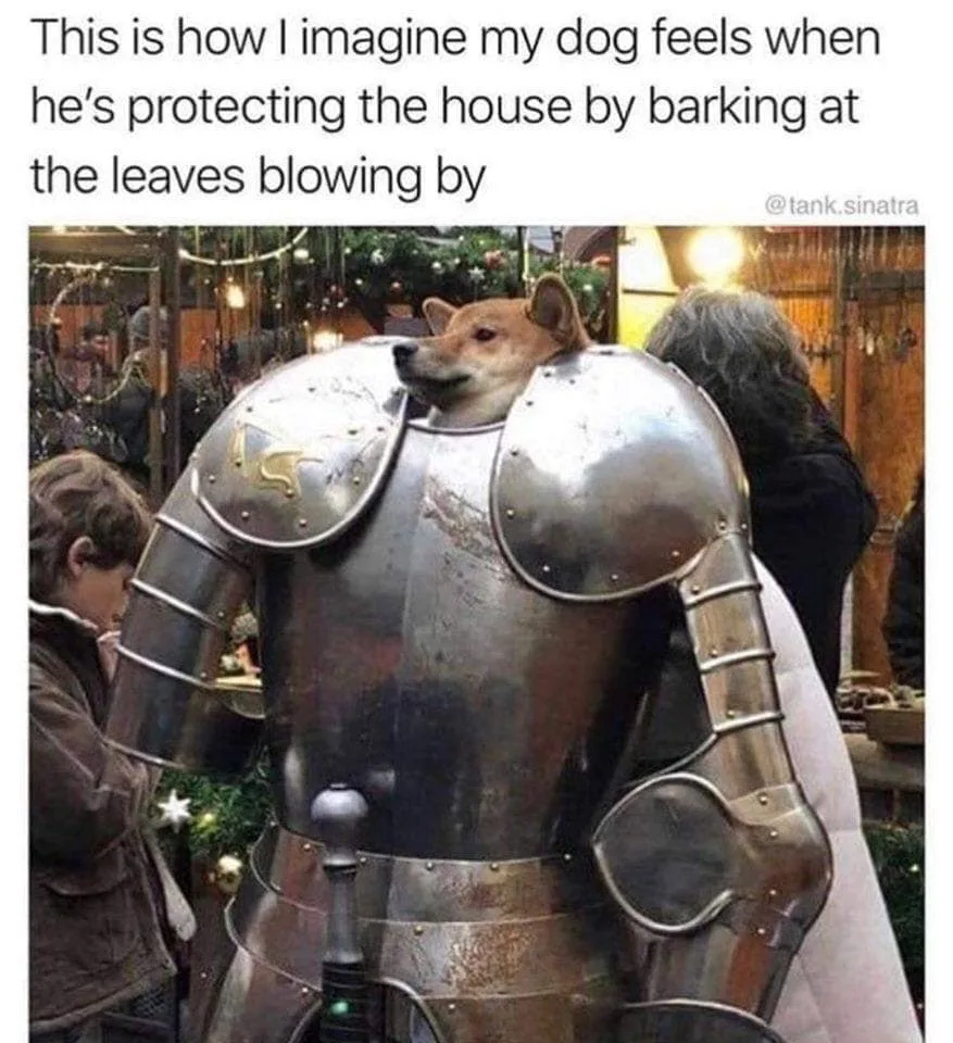 barking meme