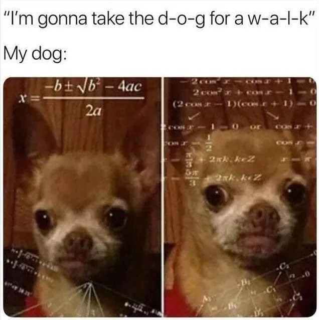 walking the dog meme