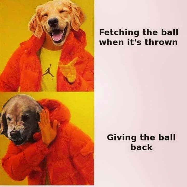fetch meme