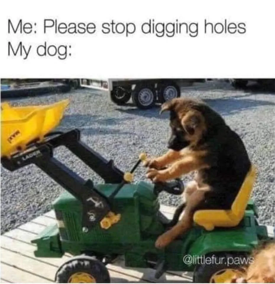 digging meme