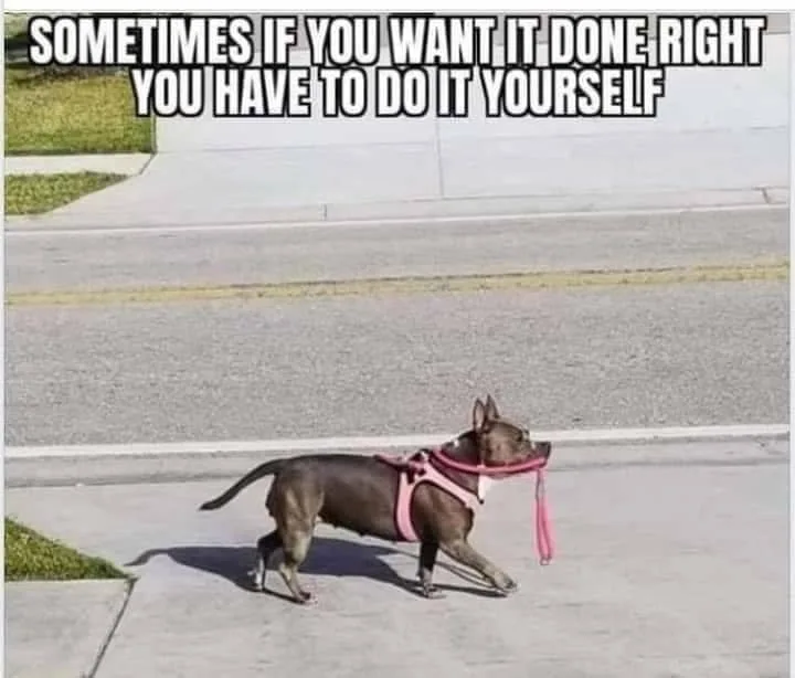 self-sufficiency meme