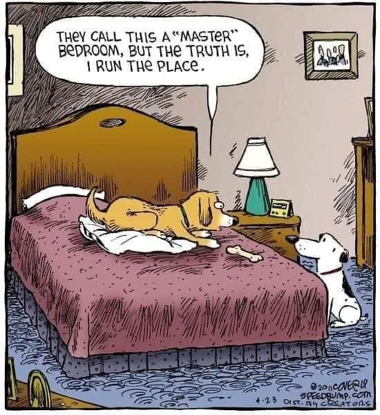 bedroom meme
