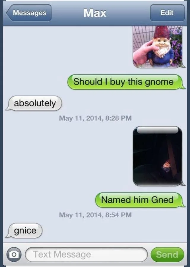 gnome meme