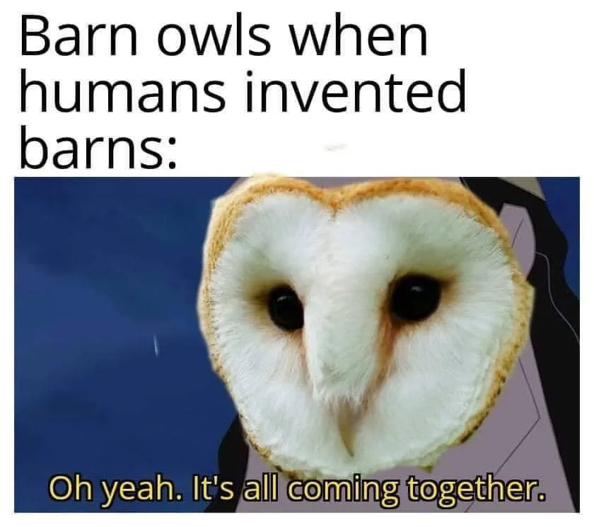 barn meme