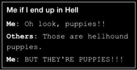 dog lover meme