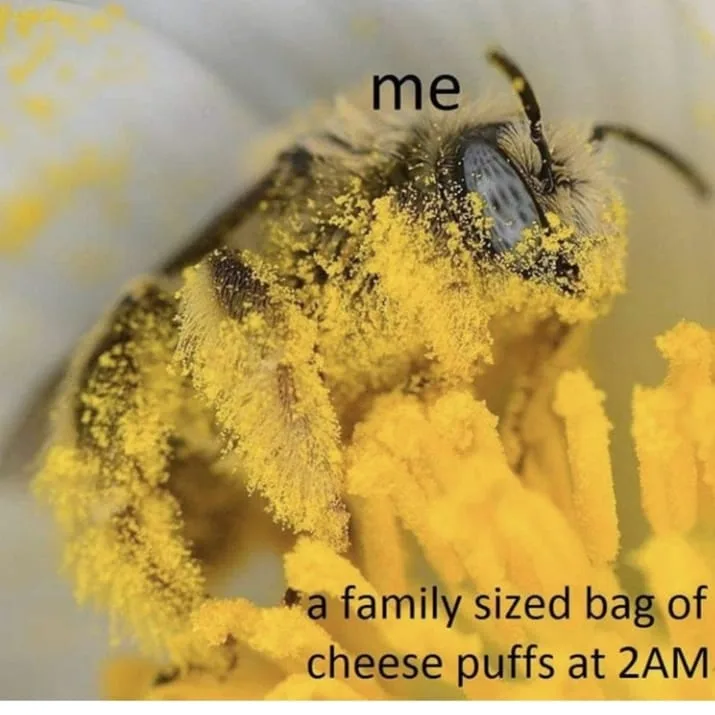 cheese puffs meme