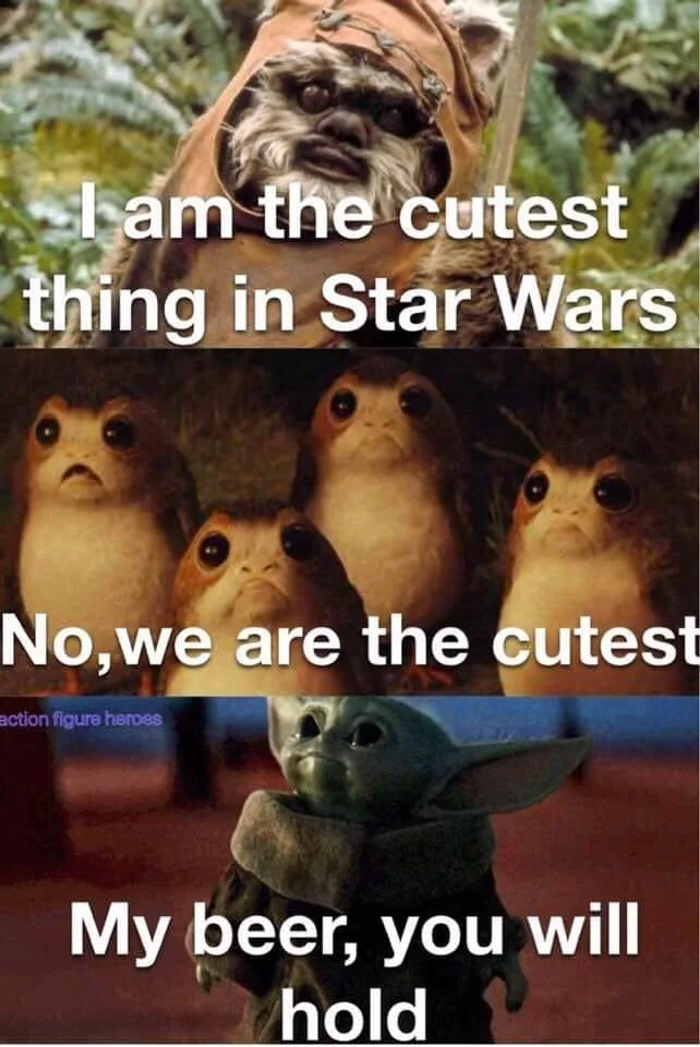 Ewok meme