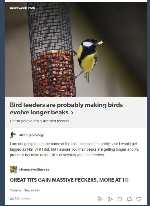 beak meme