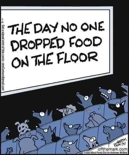 dog food meme