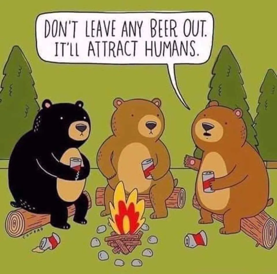 camping meme