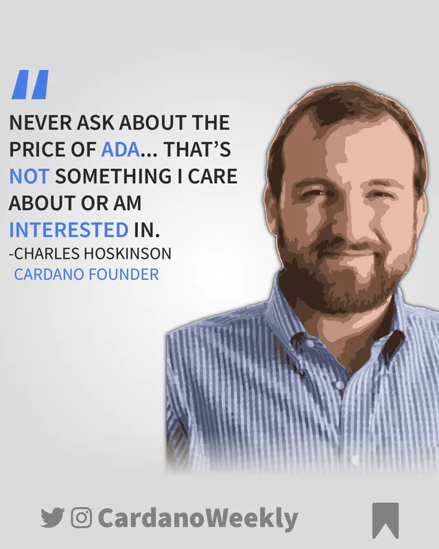 Charles Hoskinson meme
