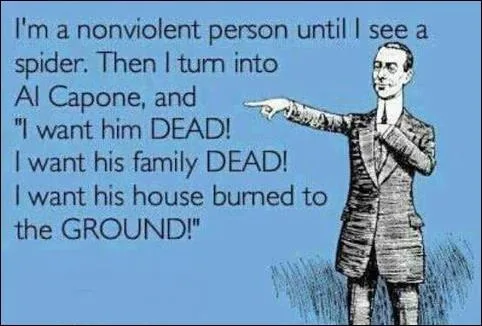 nonviolence meme