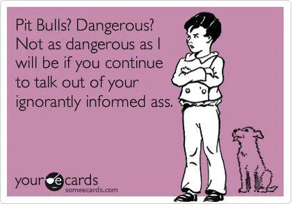 pit bull meme