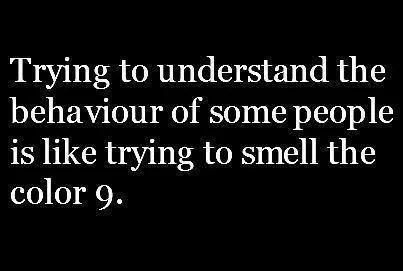 understanding someone meme