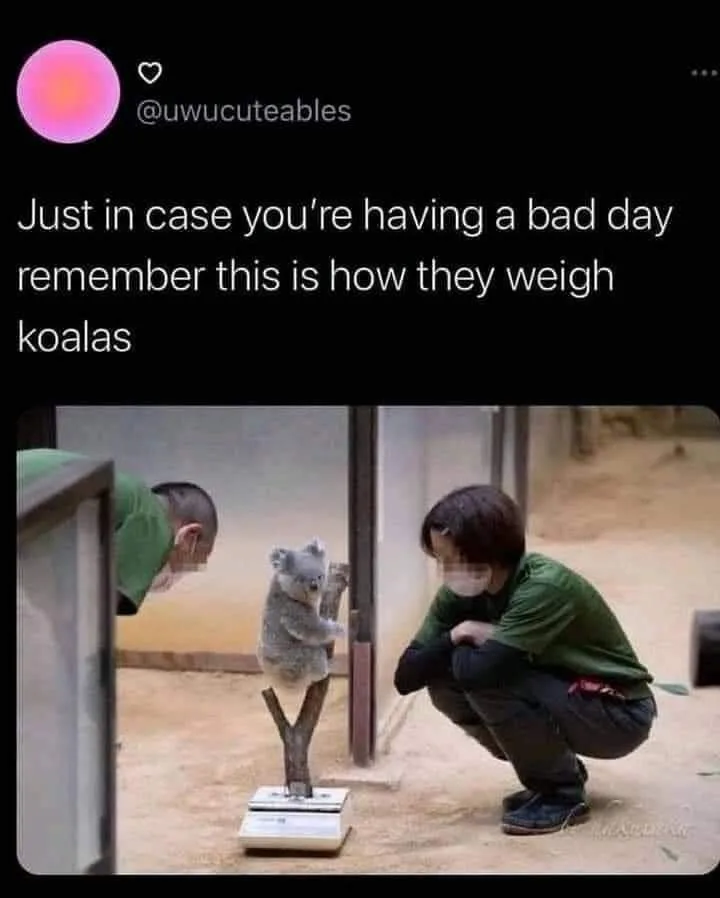 bathroom scale meme