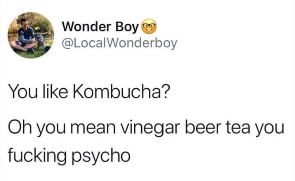 Kombucha meme