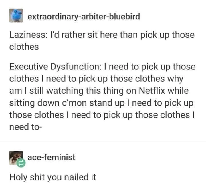 executive function meme