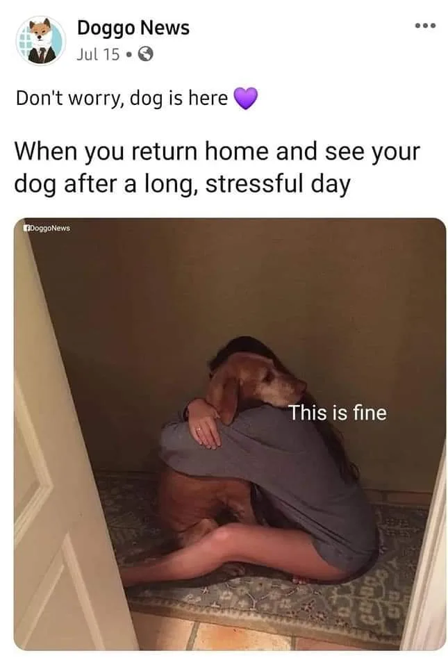 coming home meme