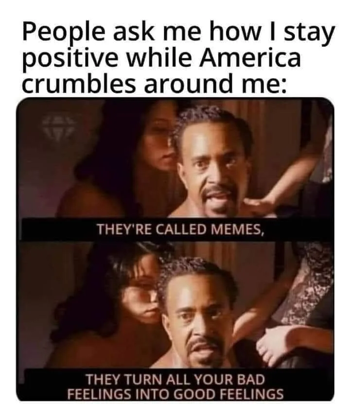coping mechanism meme