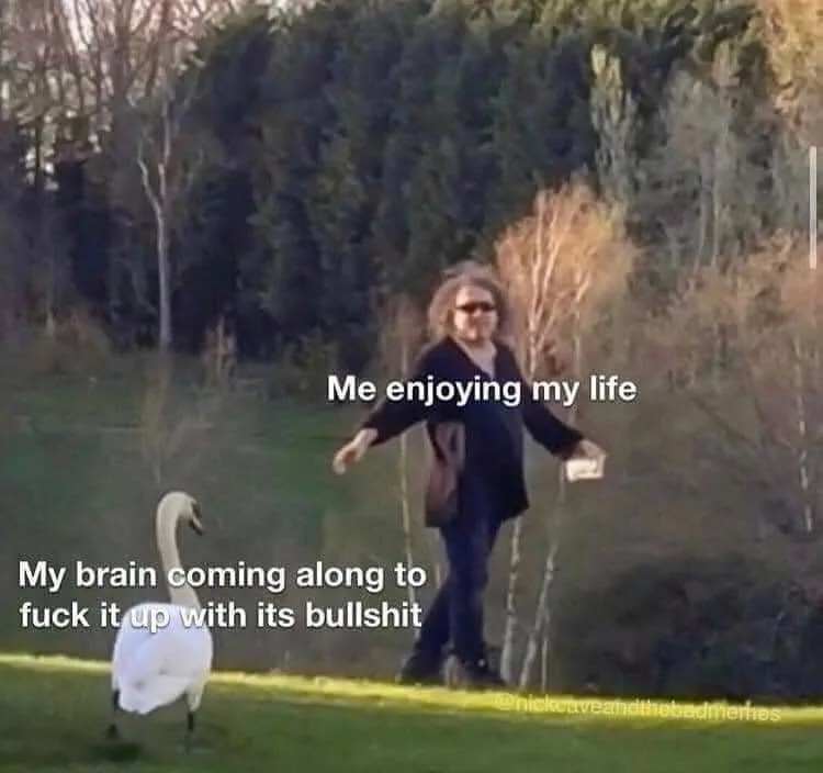 self-hate meme
