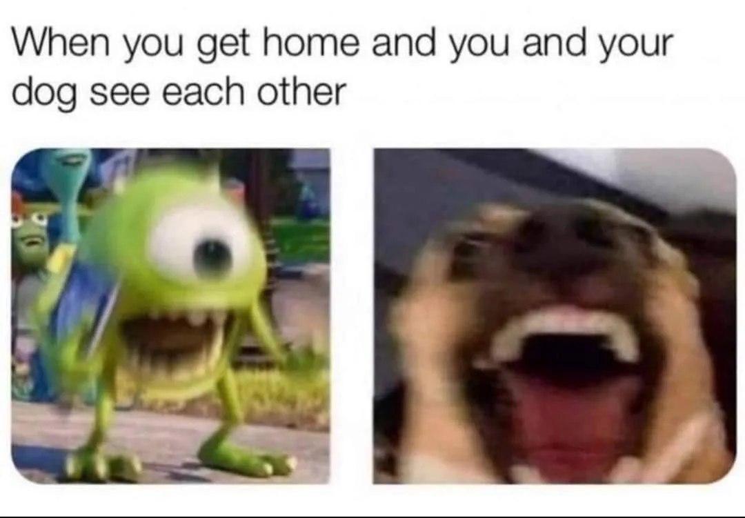 coming home meme