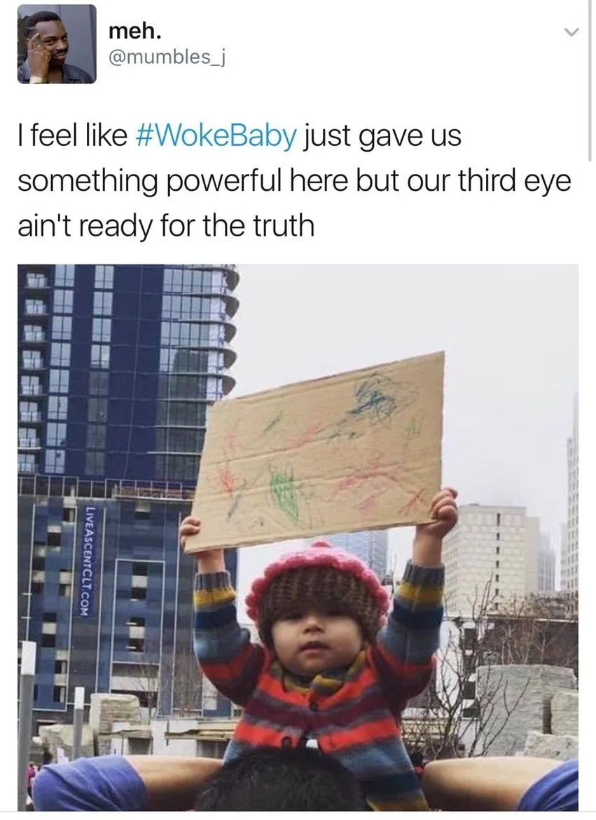 protest meme