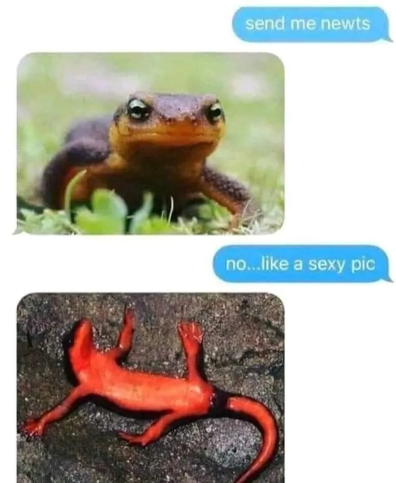 newt meme