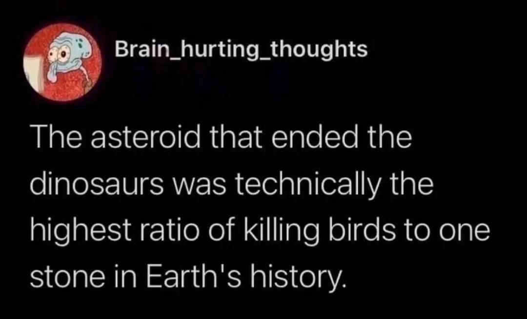 asteroid meme