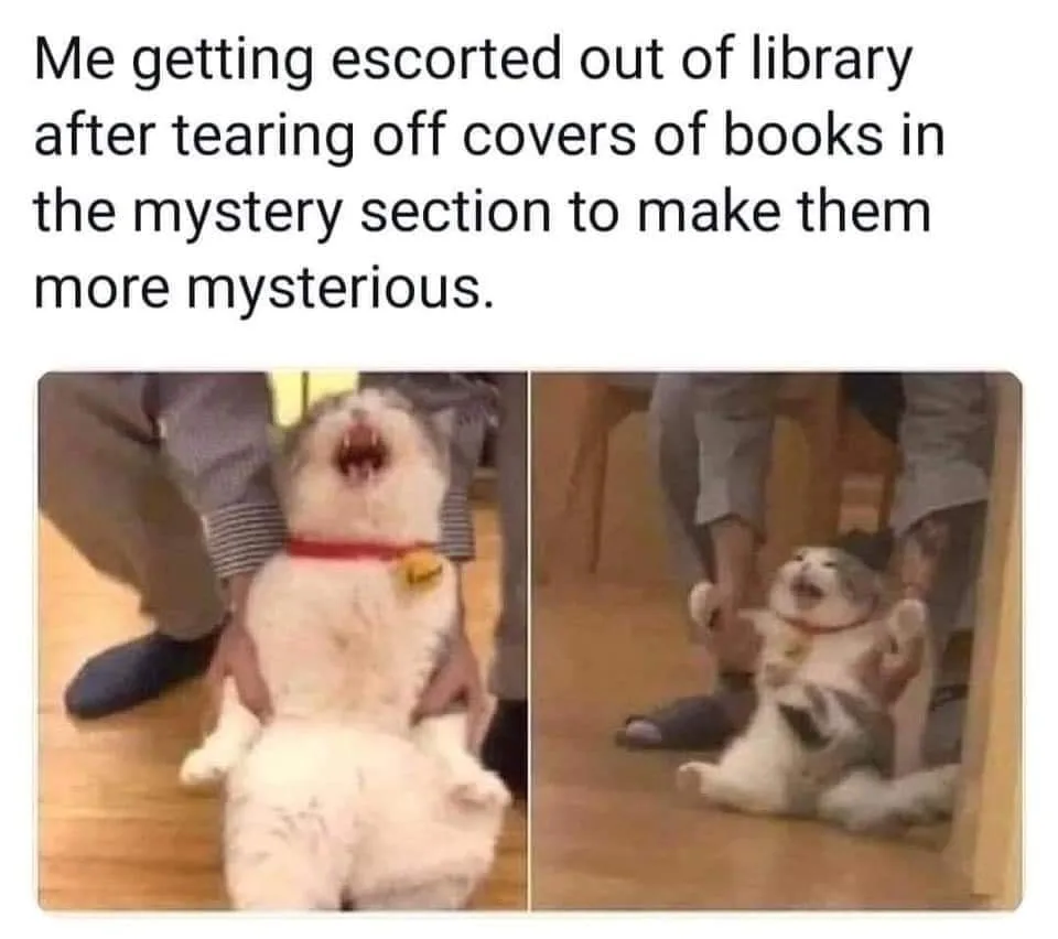 library meme